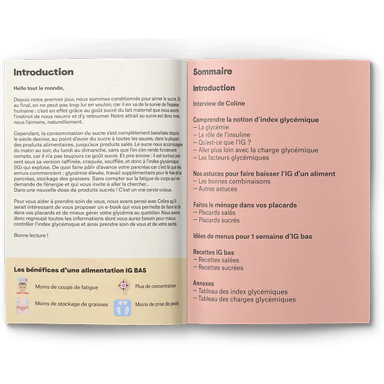 Ebook Guide De Lalimentation Ig Bas Jusqu Sur Kazidomi