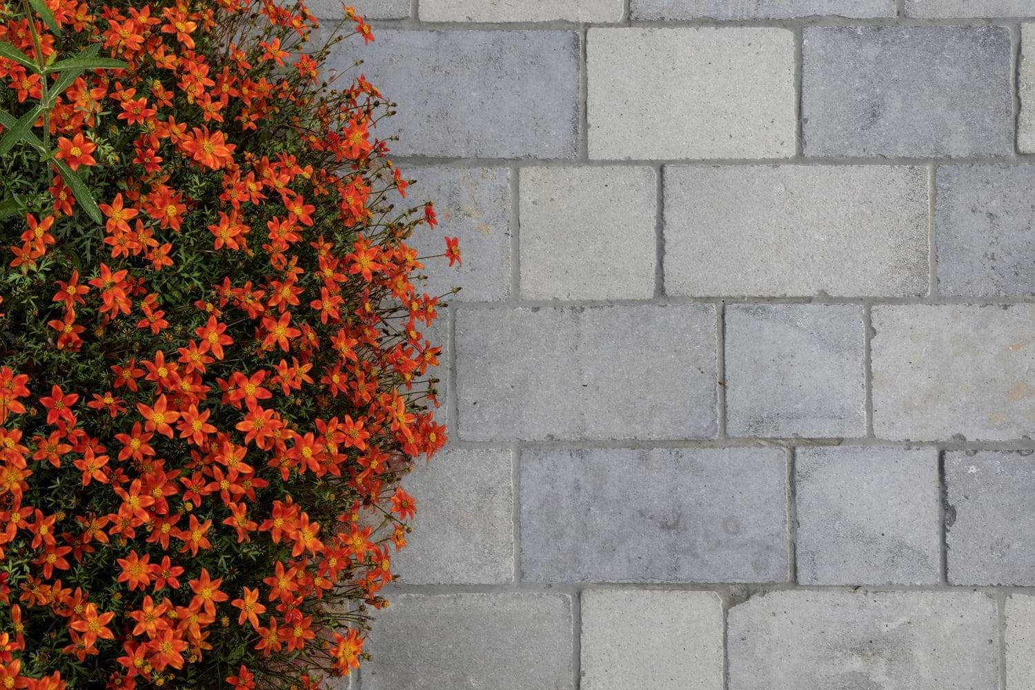 Chaldon Limestone Cobble Tumbled Etched Finish - Hyperion Tiles Ltd