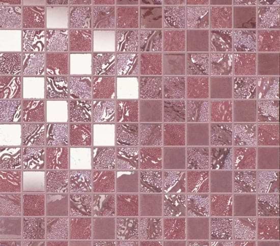 Minoli Four Seasons Bloom Mosaic - Hyperion Tiles Ltd