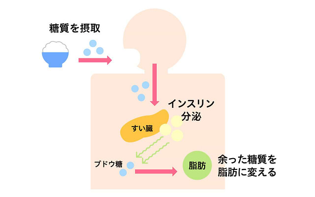 糖質制限ダイエットの効果はいつから？痩せるスピードから食べて