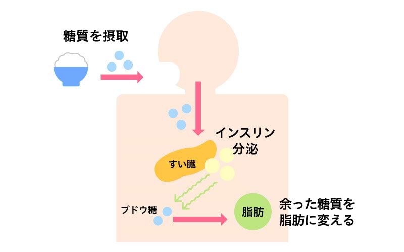 医師監修】糖質制限サプリにダイエット効果がある理由 | 美容と