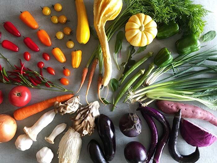食物繊維のある野菜