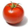 עגבניה חממה