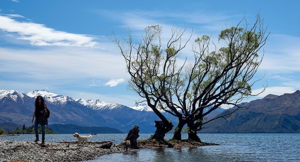 Lake Wanaka New Zealand pics