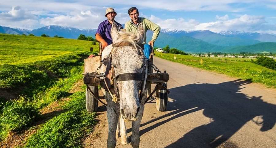 Kakheti georgia riding on donkeys