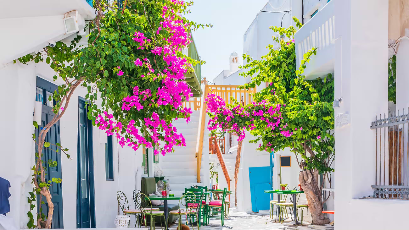 Typical Greek landscape, white buildings with blue doors and purple blossoms
