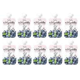 Lot 10 Gourdes Myrtille + 4 mois