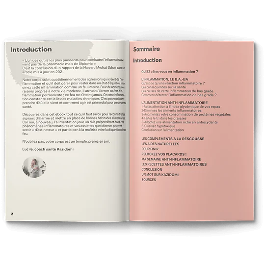 Ebook : Guide de l’Alimentation anti-inflammatoire