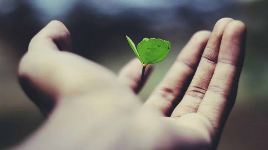 Les 10 tips à suivre pour adopter une vie éco-responsable 