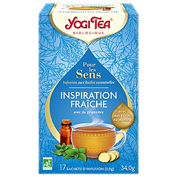 Infusion Fresh Inspiration 17 Sachets Organic