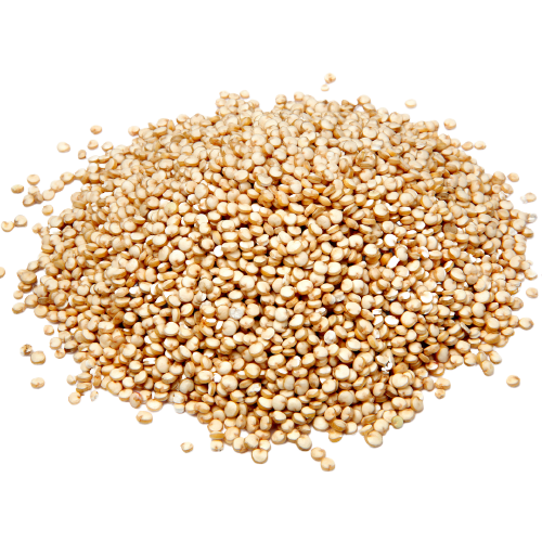 White Quinoa Origin Belgium in bulk