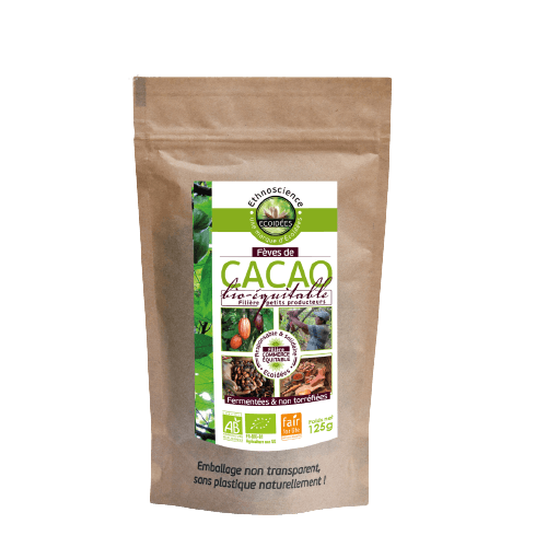 Raw Cocoa Beans Organic