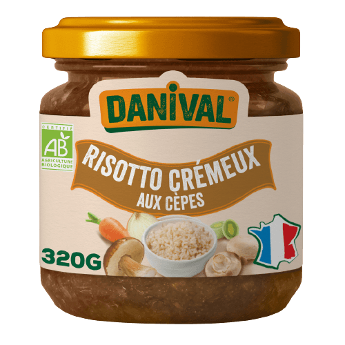 Creamy Risotto with Porcini Organic
