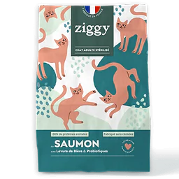 Adult Cat Salmon Kibbles Cereal-Free