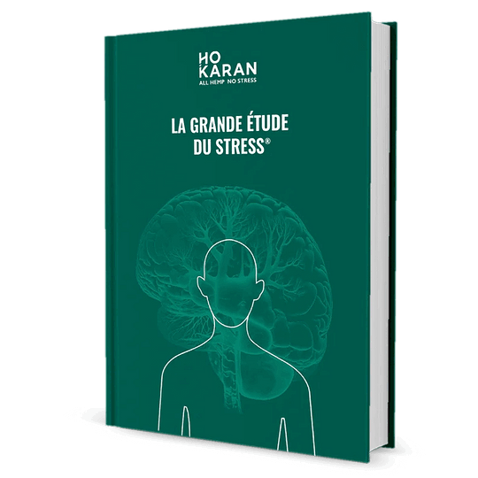 Ebook : La Grande Etude du Stress