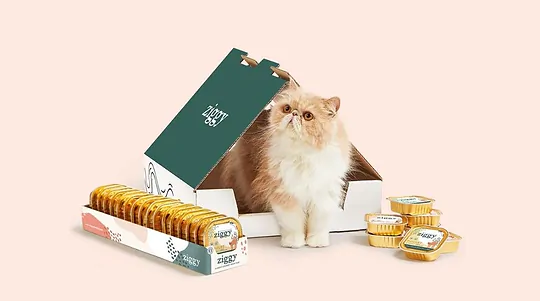 Discover Ziggy: richly formulated cat food made in France.