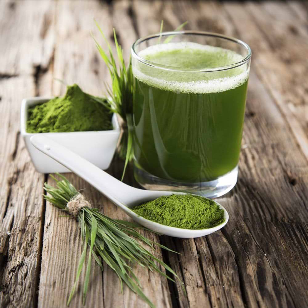 Spirulina, a superfood perfect to lose weight!