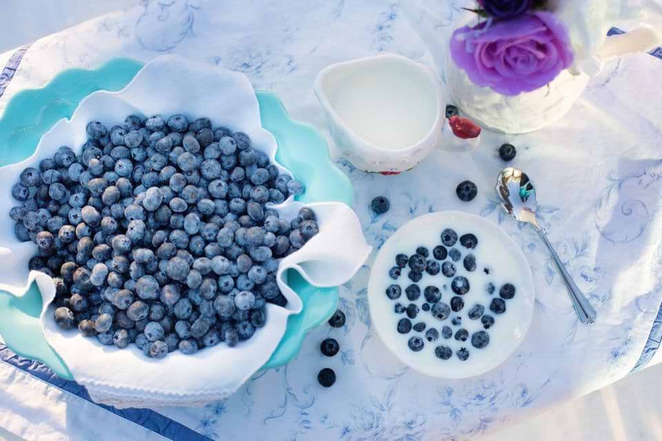 Blueberries : origins and properties