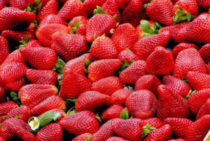 Alles wat je over aardbeien moet weten