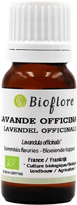 Officinal Lavender Essential Oil Organic