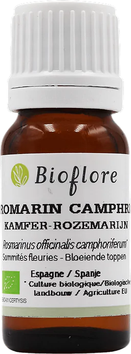Officinal Rosemary in Camphor Essentiel Oil