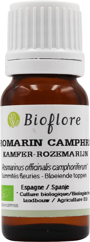 Officinal Rosemary in Camphor Essentiel Oil
