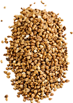 Buckwheat in bulk Organic
