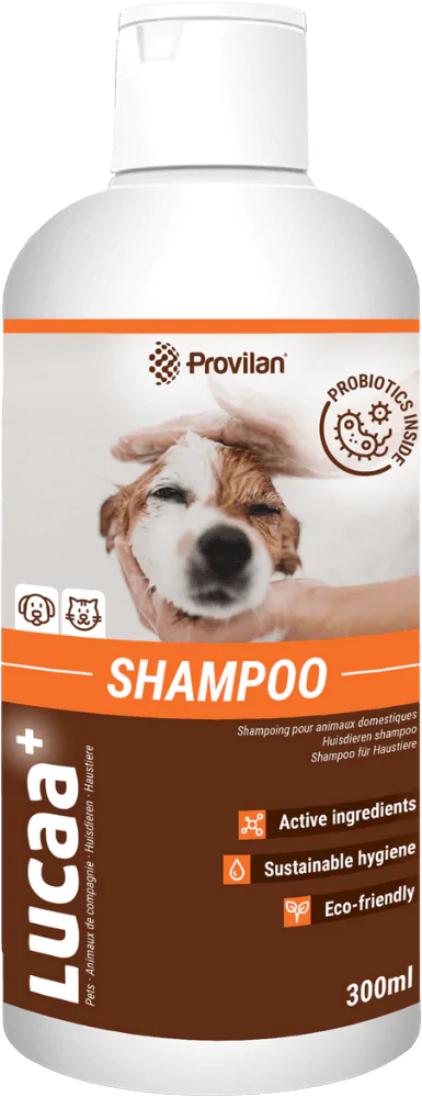 Hond Shampoo