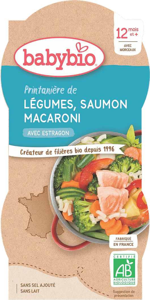 Vegetable Salmon Macaroni from 12 months
