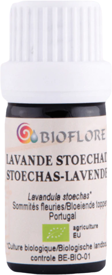 Lavender Stoechade Essentiel Oil