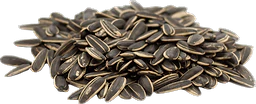 Sunflower Seeds in bulk