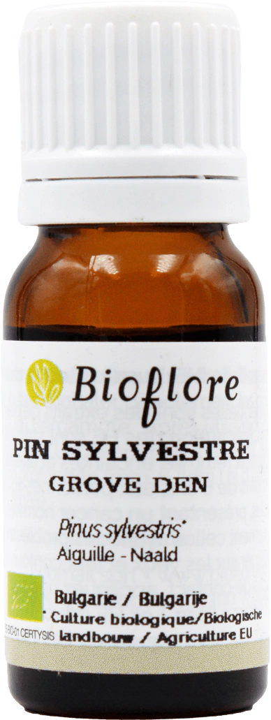 Scots Pine Essentiel Oil
