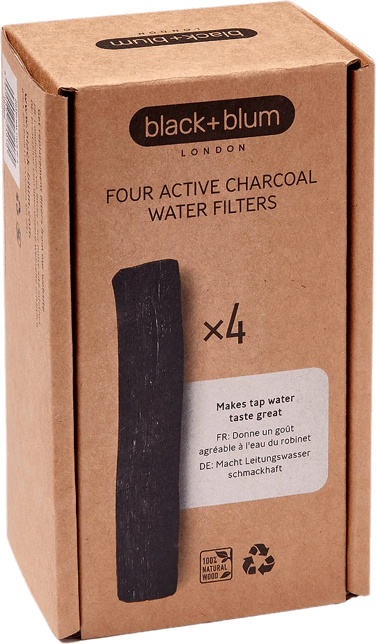 Pack of 4 Activated Carbons Water Purifier