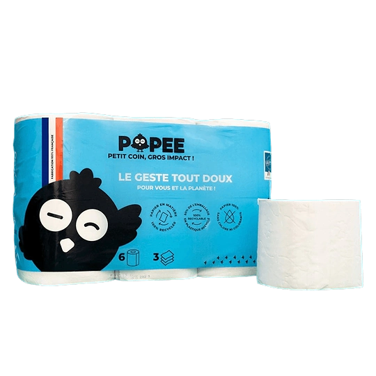 Comfort Plus Recycled Toilet Paper 6x