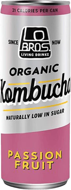 Kombucha Raspberry & Lemon Organic