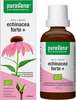 Echinacea forte + Organic