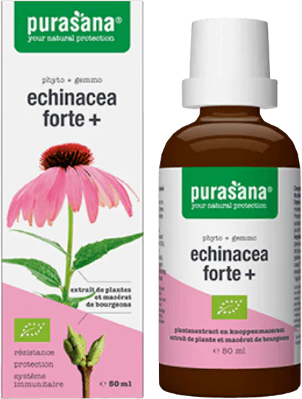 Echinacea forte + Organic