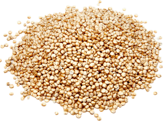 Witte Quinoa Oorsprong Frankrijk in bulk