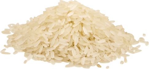 Basmati White Rice in bulk