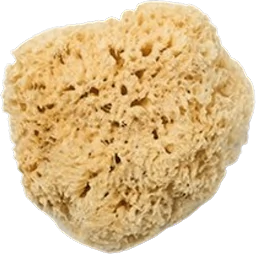 Natuurlijke spons