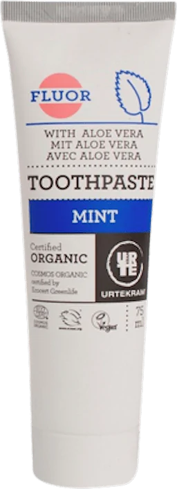 Mint Toothpaste Organic