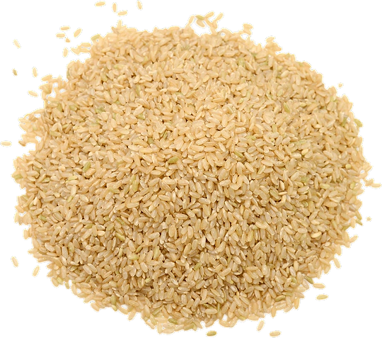 Brown Basmati Rice in bulk