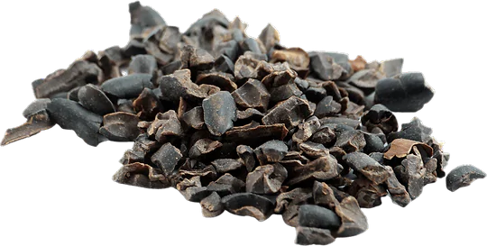 Raw Cocoa Nibs in bulk