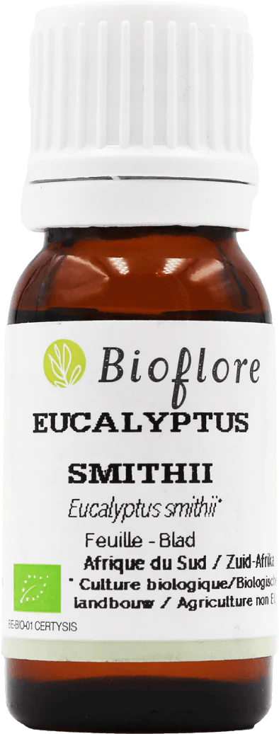 Huile Essentielle Eucalyptus de Smith