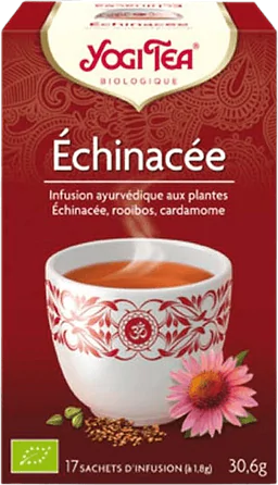 Echinacea Infusie 17 zakjes