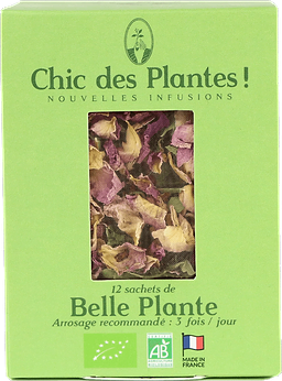 Herbal Tea Belle Plante Organic