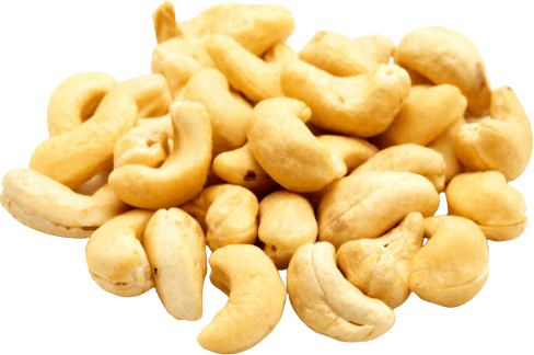 Cashew Nuts in bulk