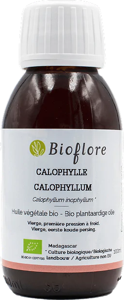 Virgin Inophyllum Calophylle Oil Organic