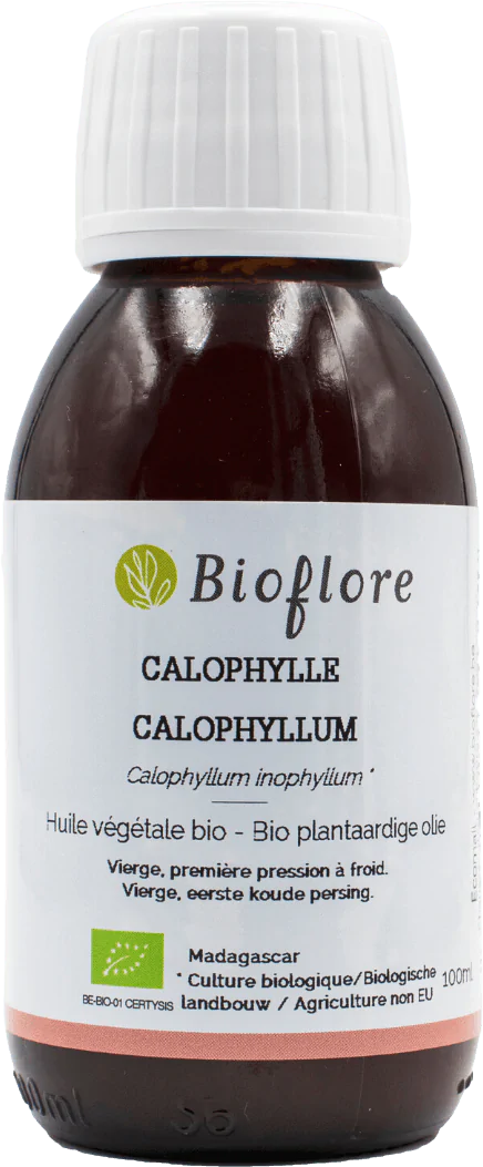 Virgin Inophyllum Calophylle Oil