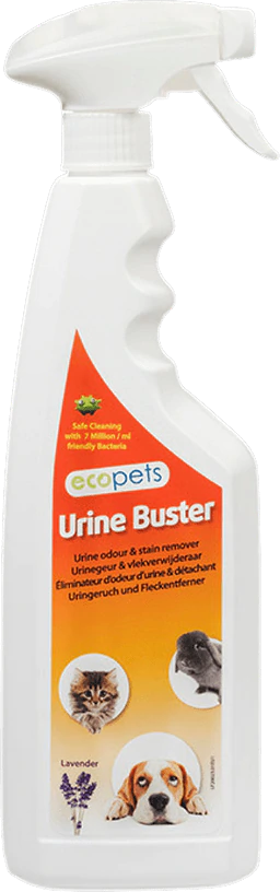 Anti Urine Odor Stains